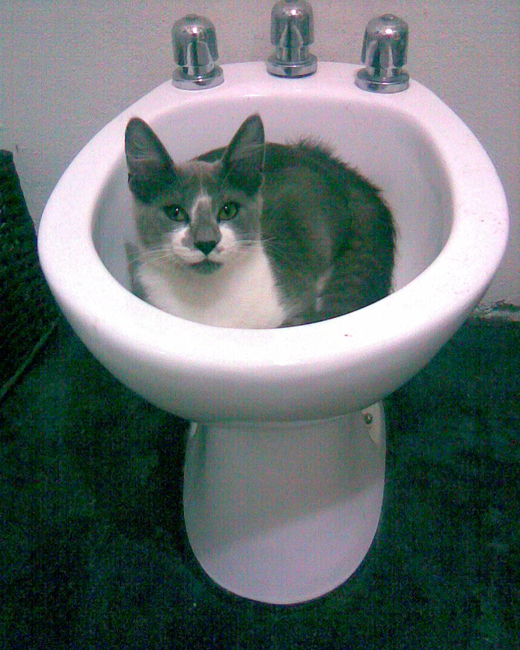 fotos/0000-00-00 - Infancia/Imagen014.jpg